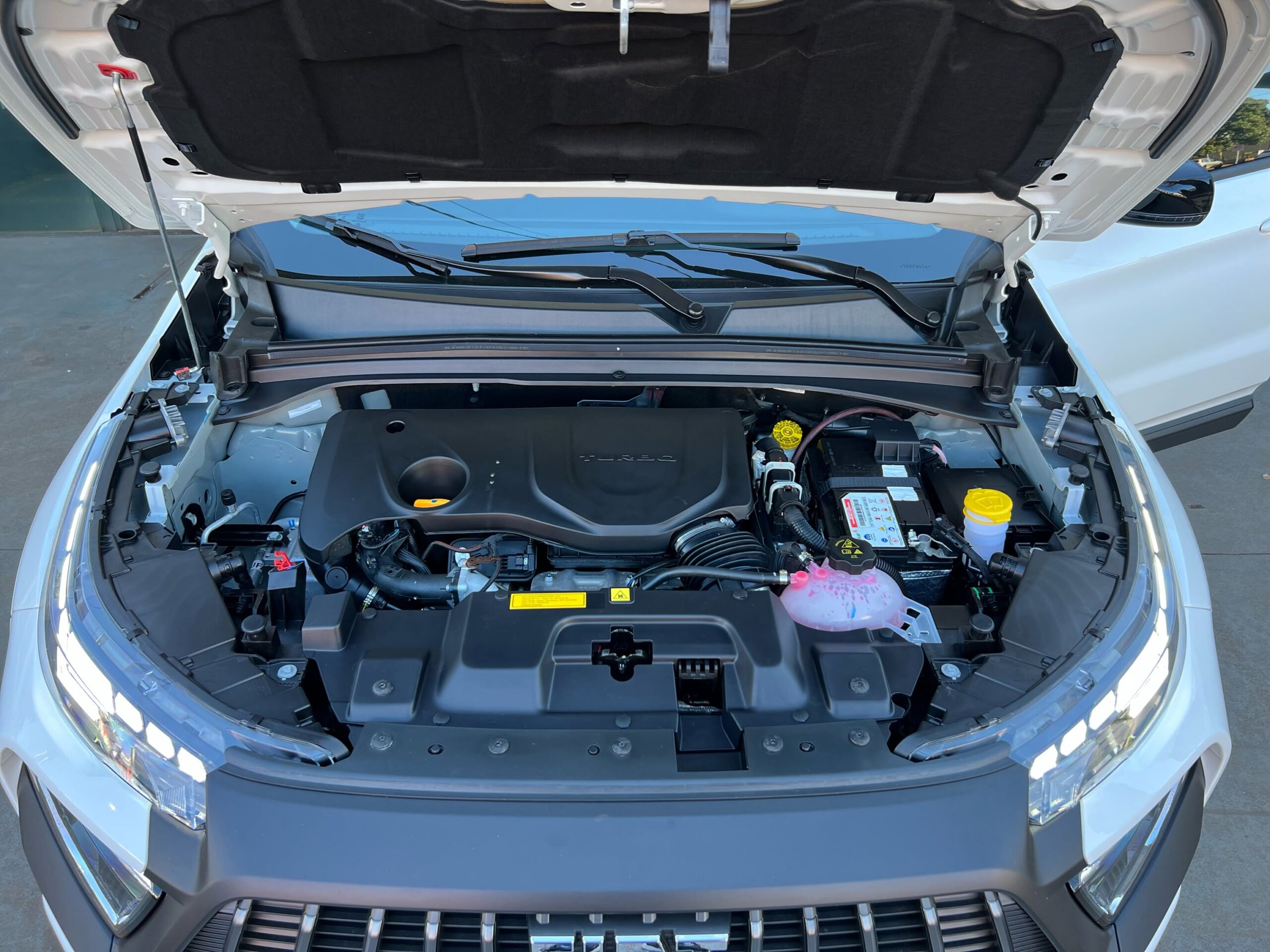 t19